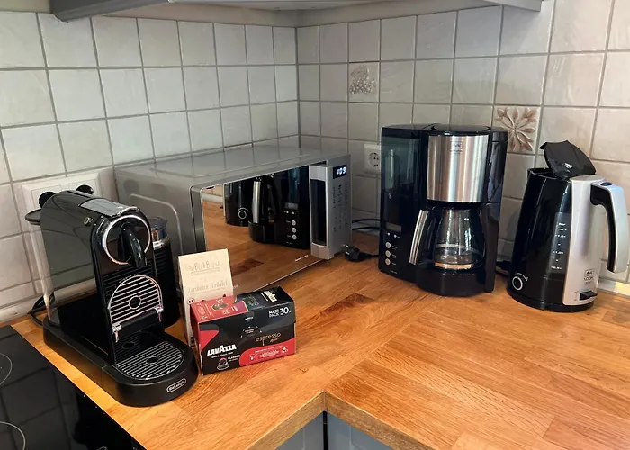 Charmantes Hinterhaus Mit Terrasse - Zentrale Lage Dresden